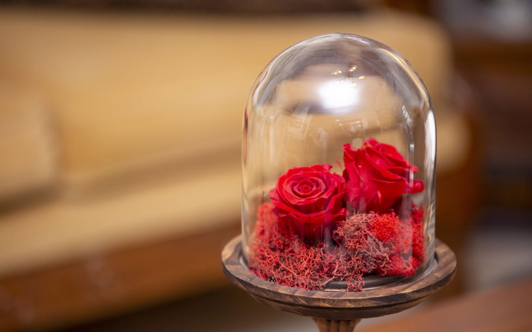 Roses éternelles à Toulouse : l’élégance intemporelle selon II OUT