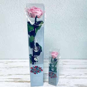 Roses éternelles sur tiges à Toulouse