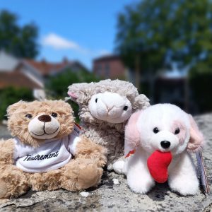 Peluches fleuriste à Toulouse